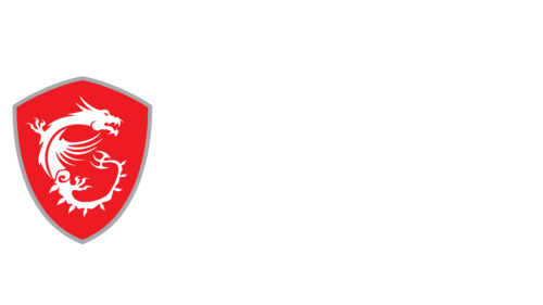 MSI